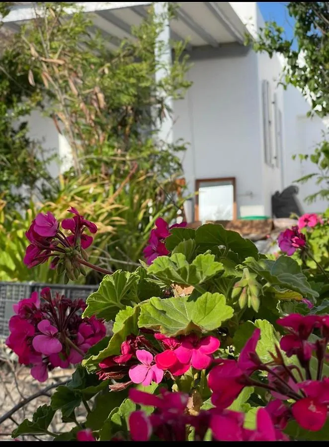 Alesta Apartment Mykonos Town